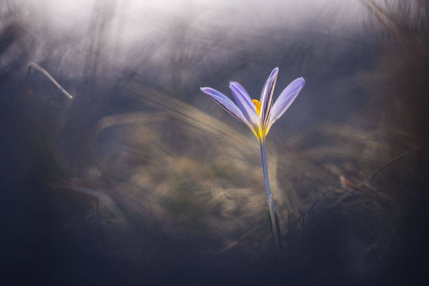 , Илья Михеев