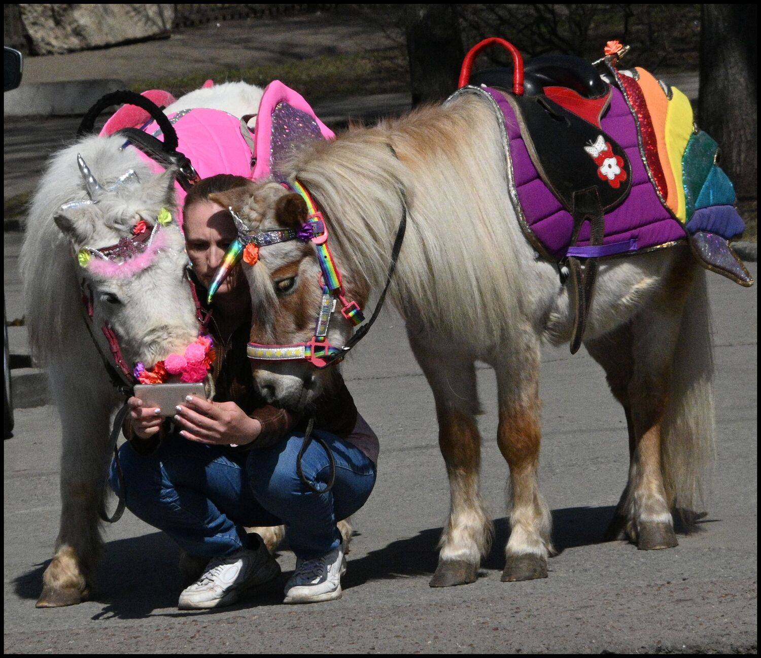 , Меднов Влад