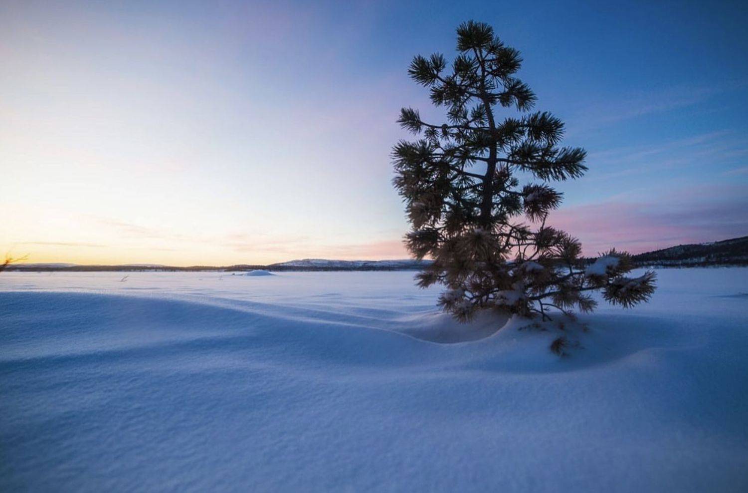 зима, сугробы, мороз, закат, солнце, север, сосна, сугробы, озеро, Алёна Салтыкова
