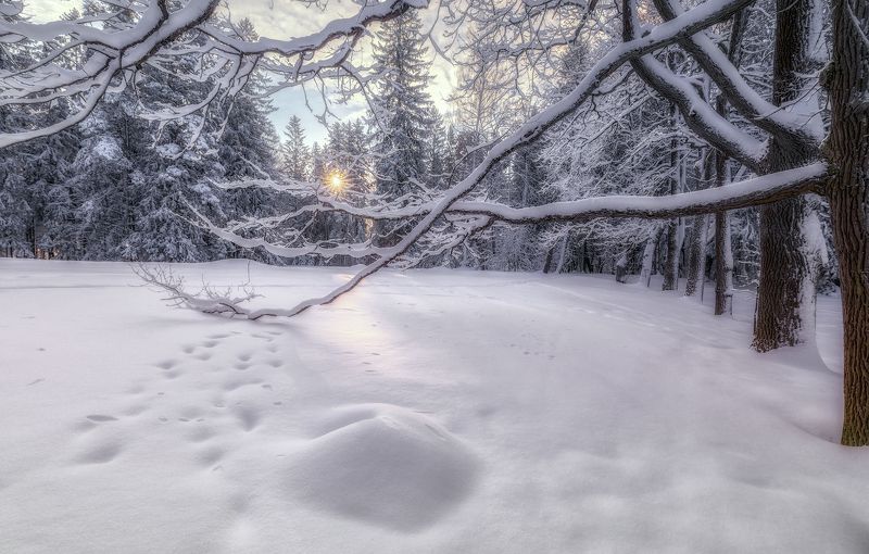 март весна снег утро павловск рассвет Зимний месяц март фото превью