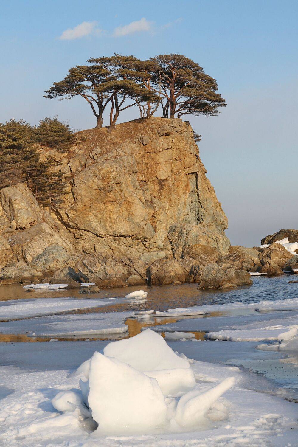 , Добролюбова Тамара