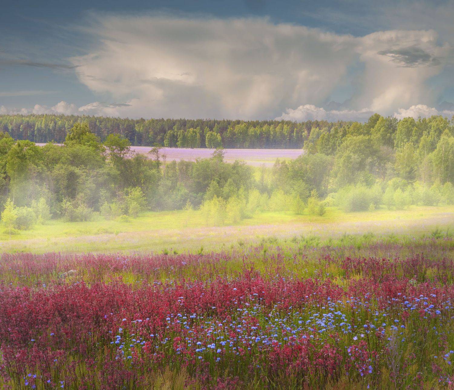 Фототуры с Владимиром Рябковым, #topnature #russpasibo #magic_shots #lovelyRussia #sunset_vision #exclusive_sky  #exclusive_shots #loves_russia2 #photoarena_nature #nature_sultans #nature_perfection #rsa_sky #rsa_sunset #photorussia #rsa_naturepics #sunse, Владимир Рябков