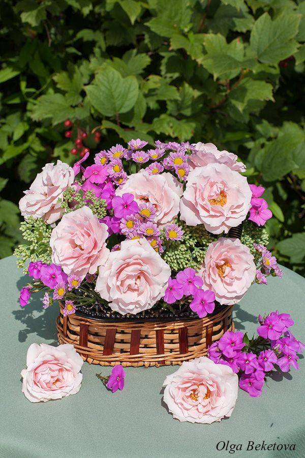 натюрморт, цветы, розы, сад, Бекетова Ольга