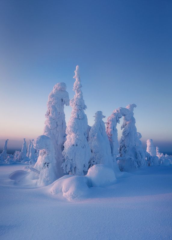 карелия, паанаярви, зима, ноурунен, пейзаж Обитатели горы Ноурунен фото превью