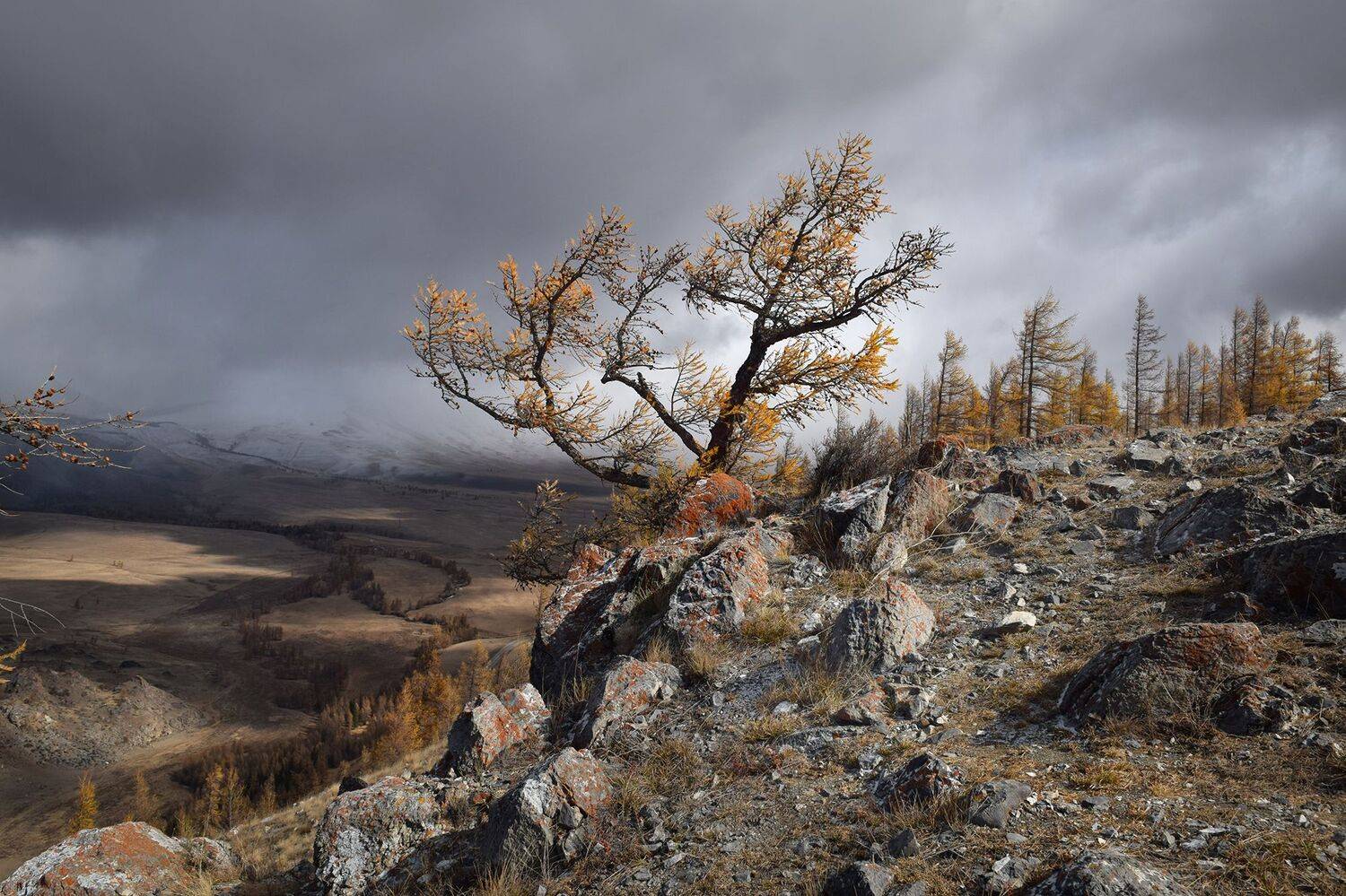 , Светлана Крат