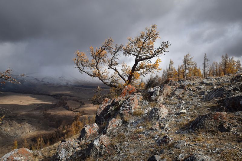 Алтай фото превью