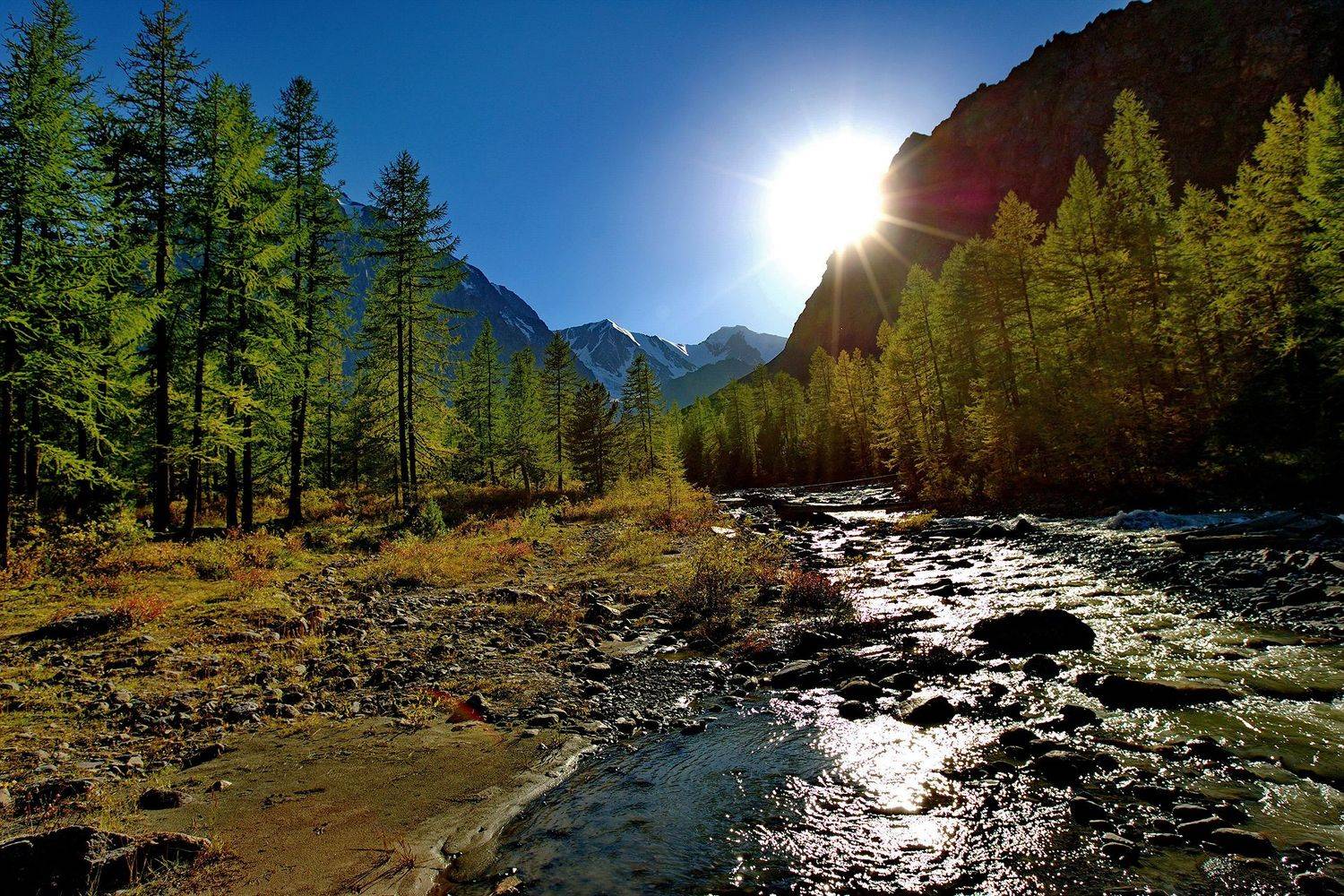 , Виктор Волынский