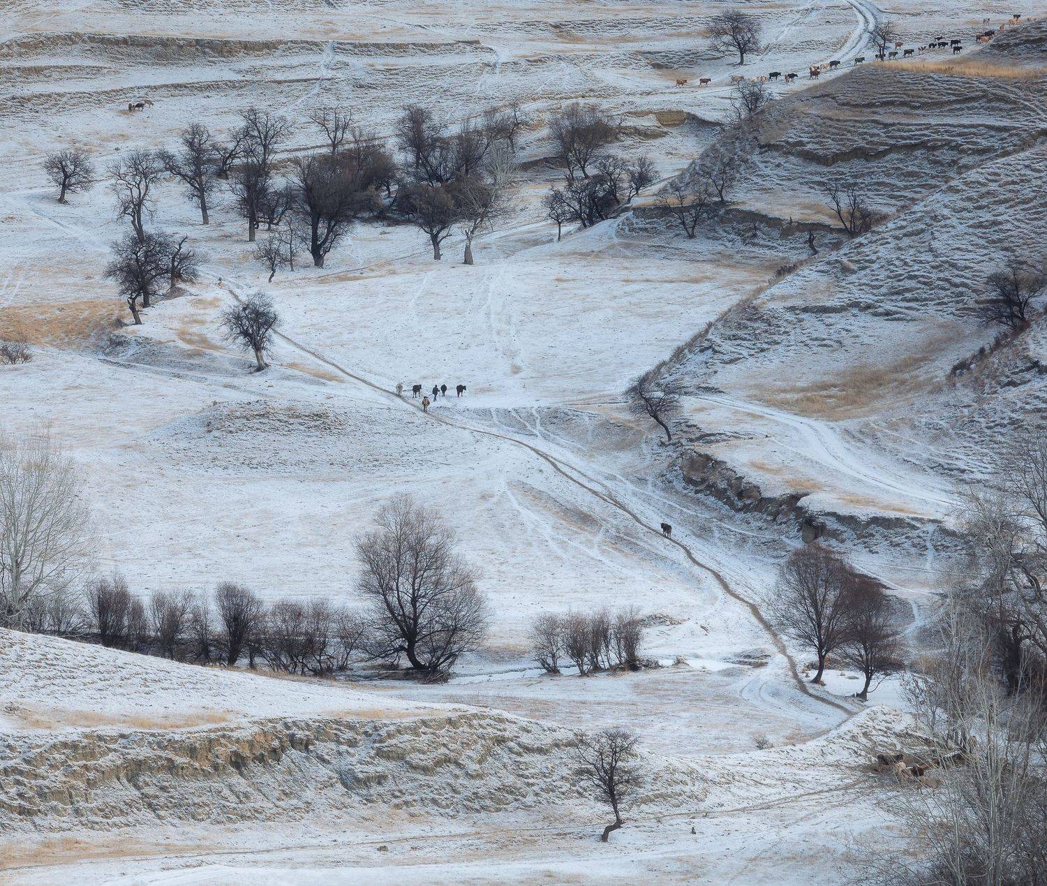 дагестан, Александр Писарев