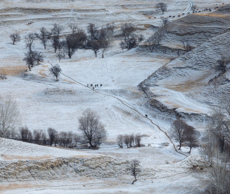 дагестан Возле села Кудали. Дагестан. фото превью