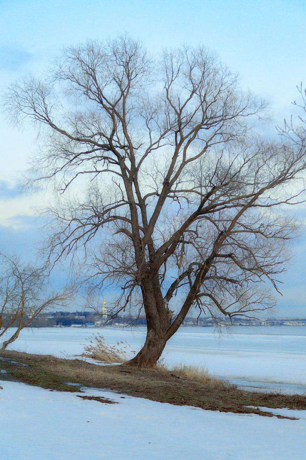 весна, волга, кострома, март, снег, Макаров Роман