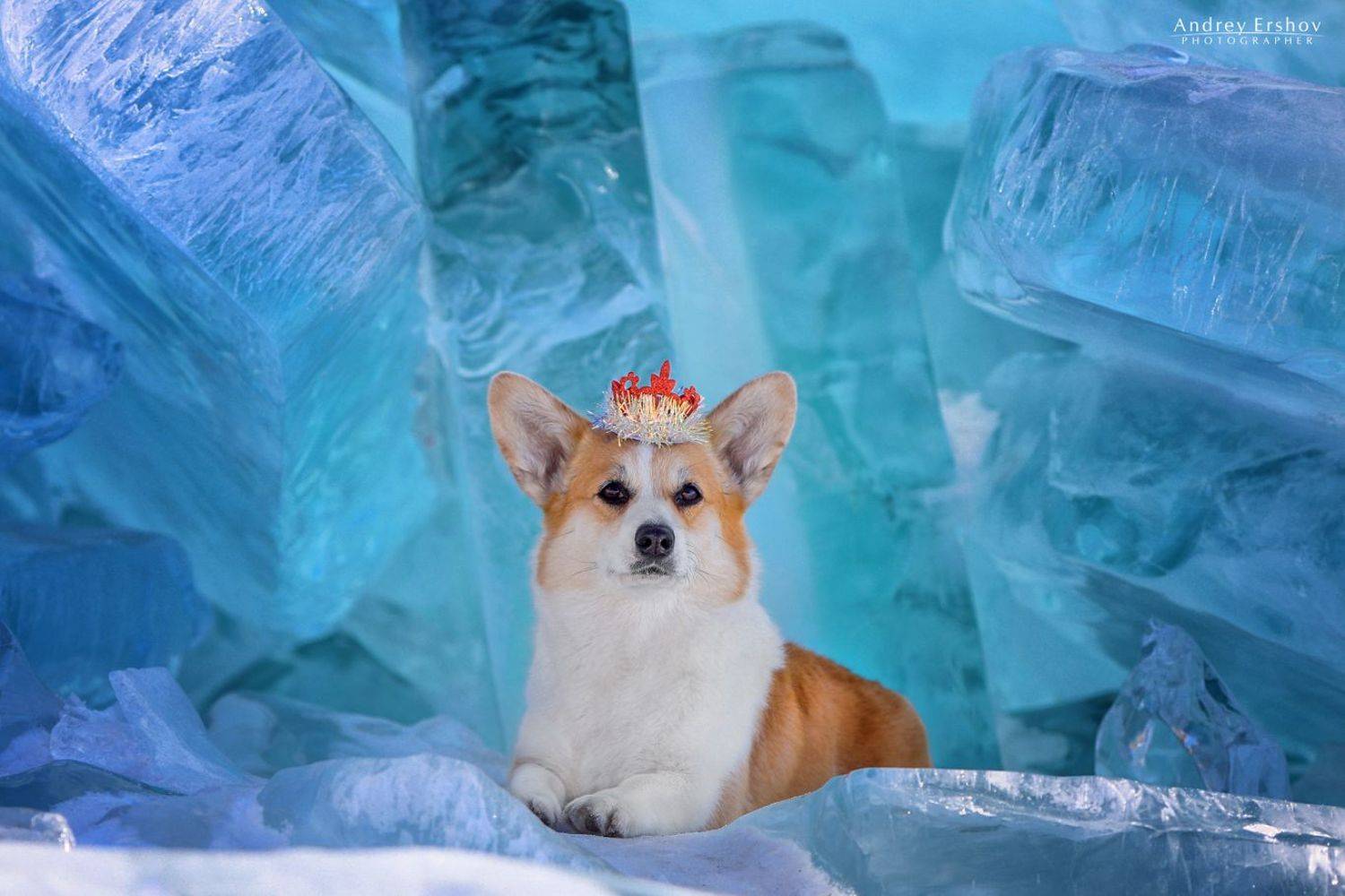 , Андрей Ершов