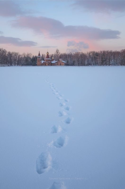 пушкин, царское, царское село, санкт-петербург, пейзаж, landscape На закате зимы фото превью