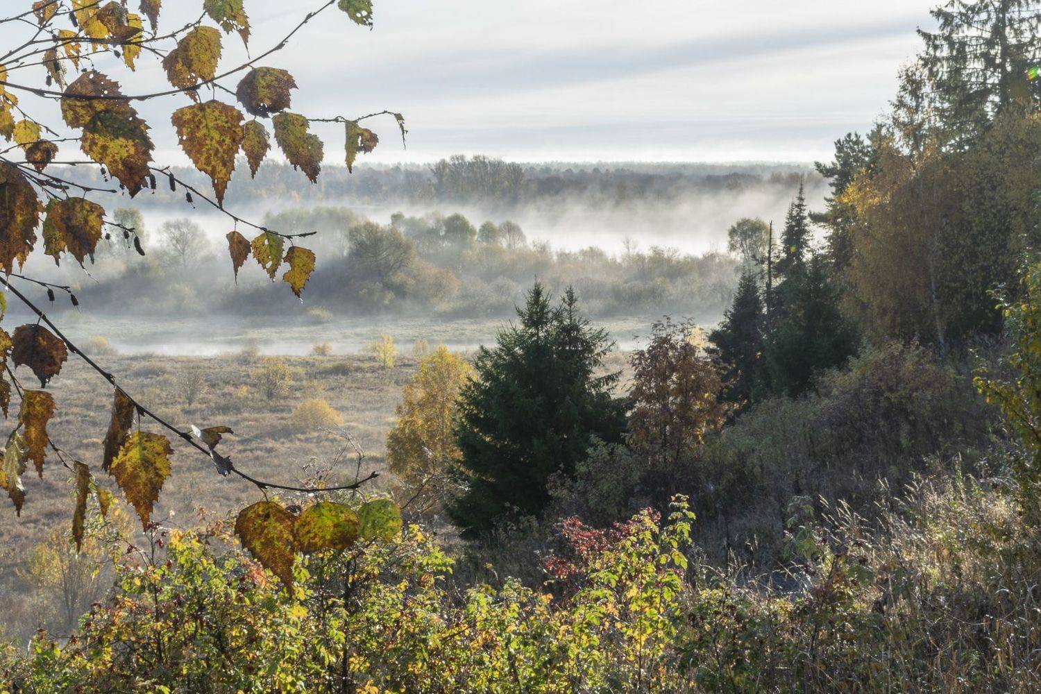 , Галина Луценко