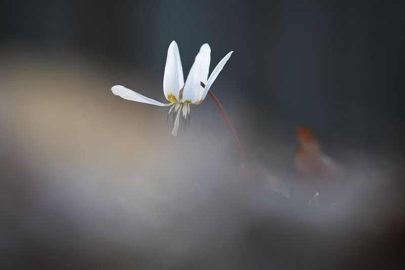 2023 фото превью