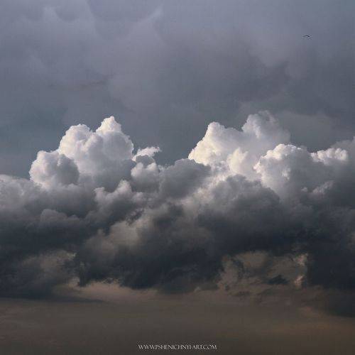 Перед дождём