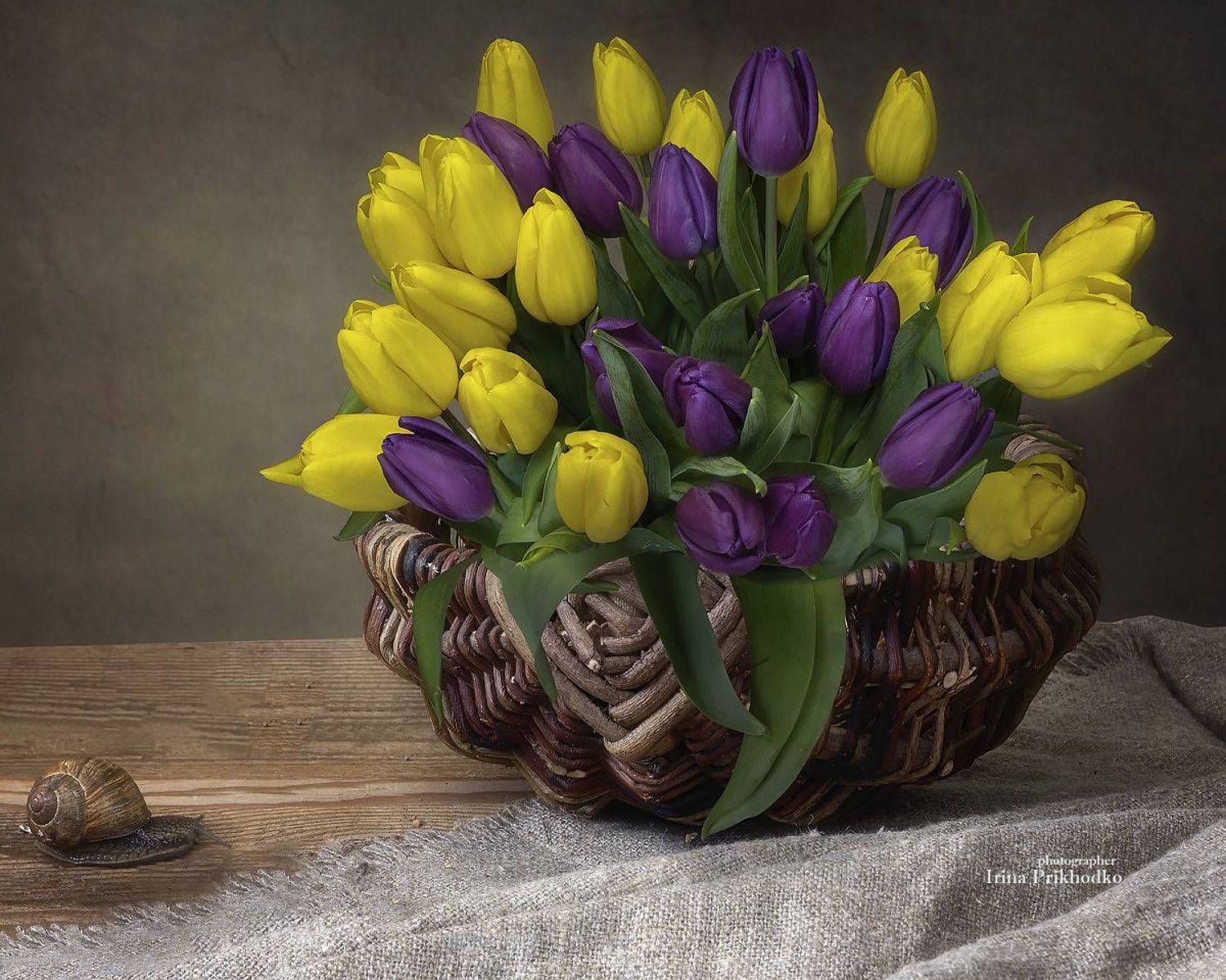 натюрморт, цветы, тюльпаны, букеты, корзина, Приходько Ирина
