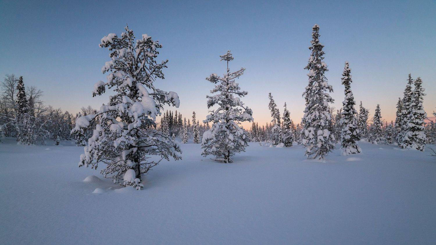 север, кольский, хибины, заполярье,, Роман Горячий