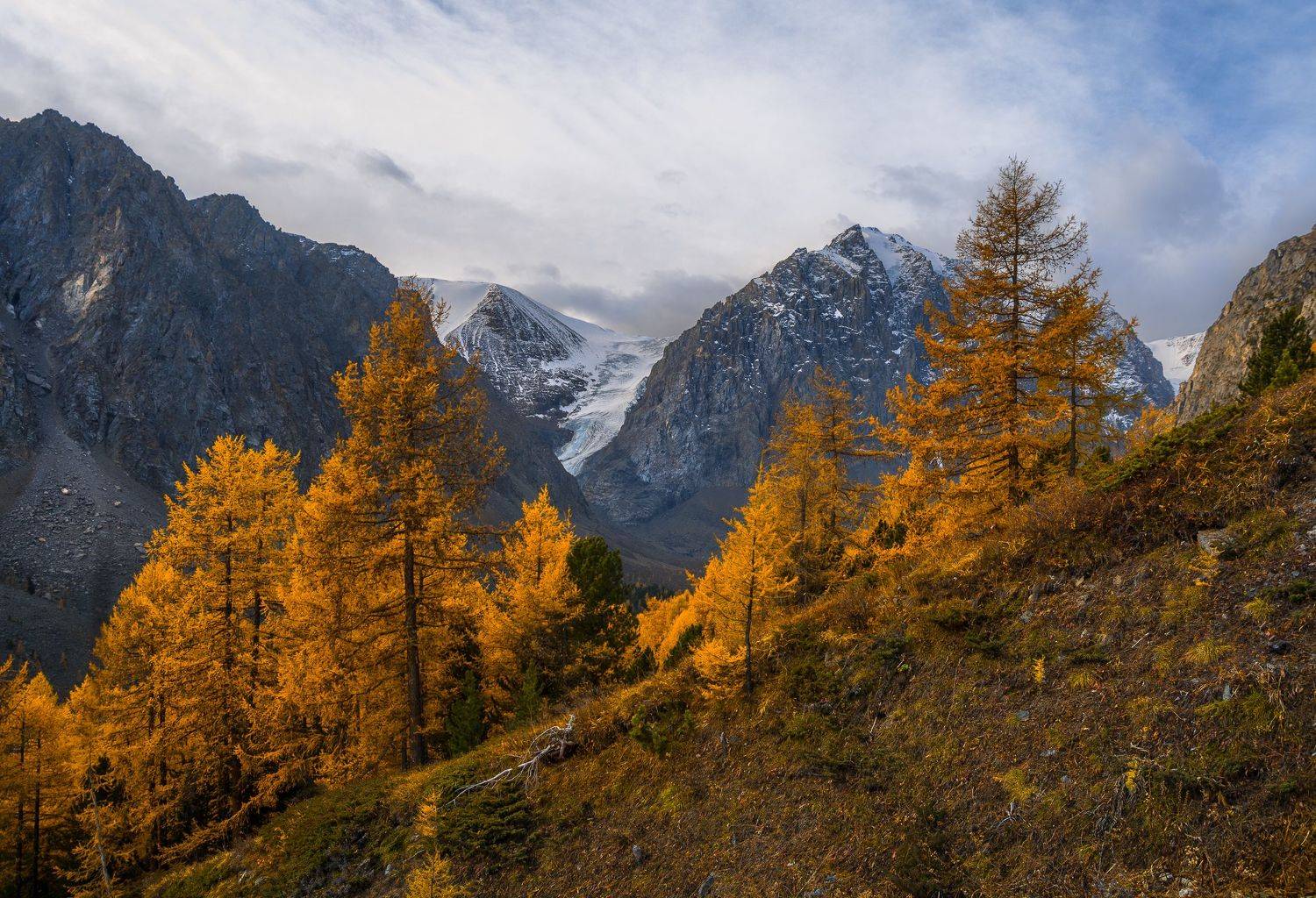 россия, горный алтай,осень, Андрей Поляков
