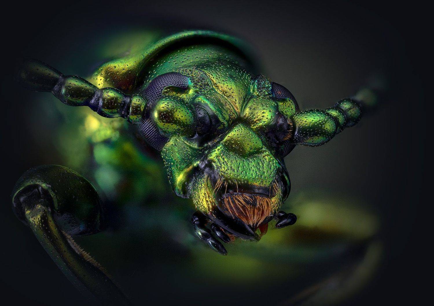 , Eugenijus Kavaliauskas