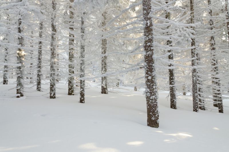 Таганай, Дальний Таганай пойманный свет фото превью