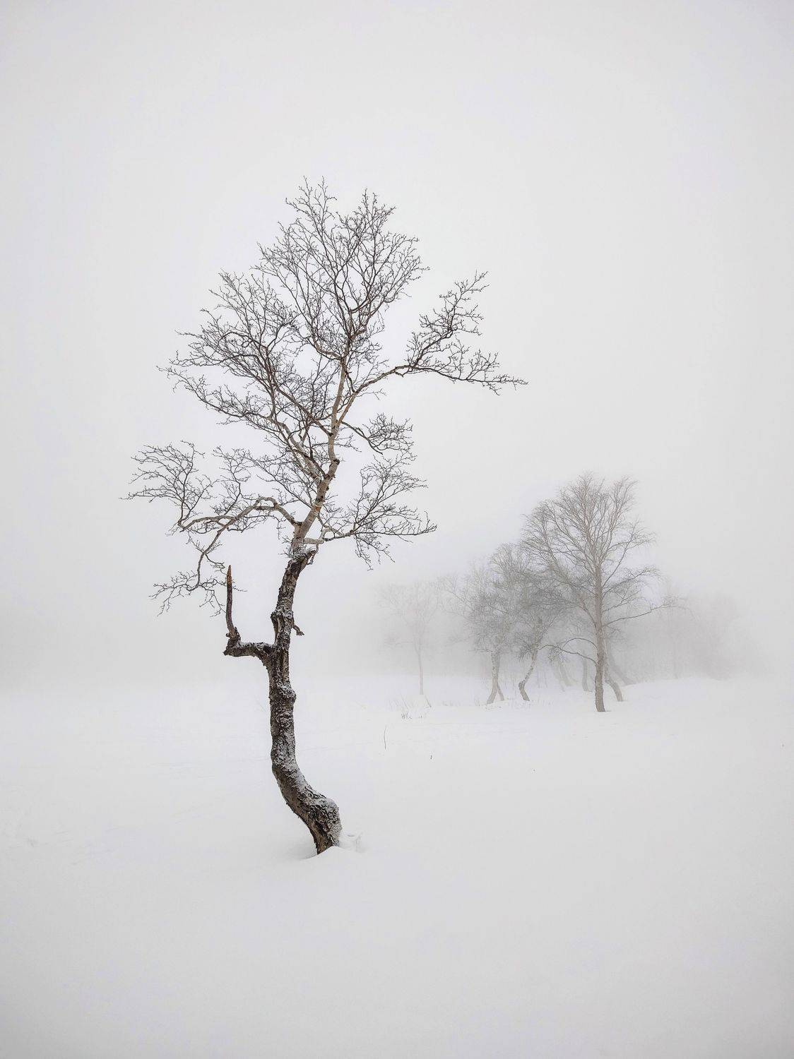 , Иван Козлов