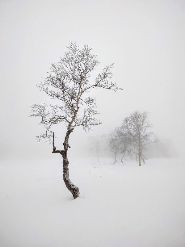 Alone фото превью