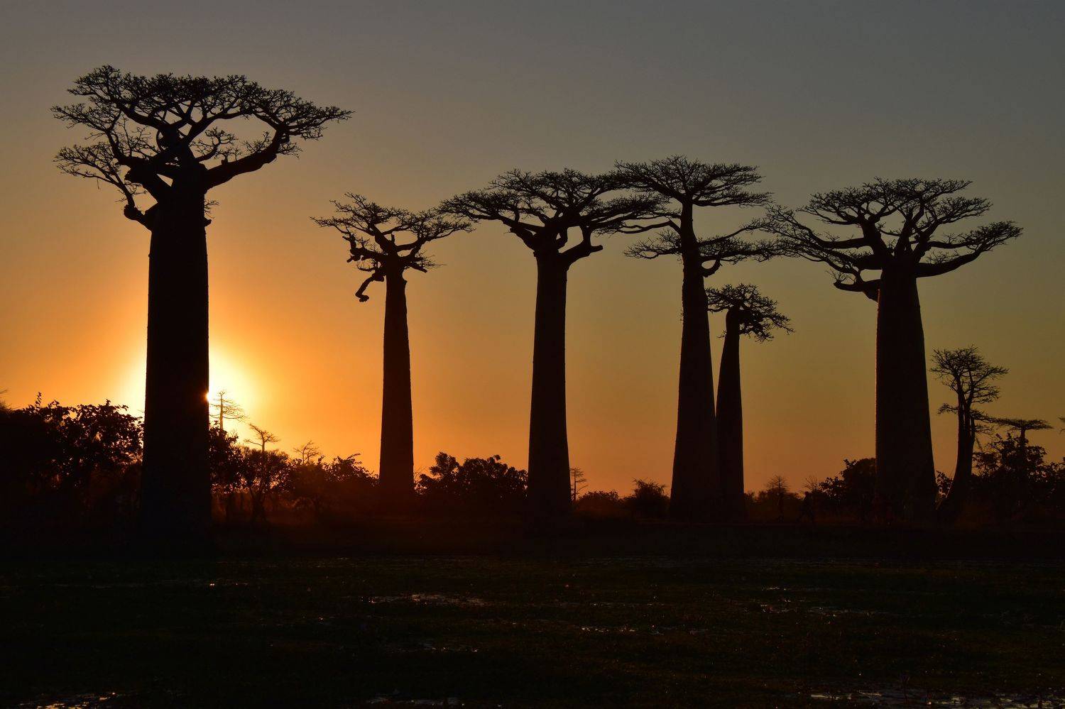 пейзаж, природа, путешествие, Наталия Щербина