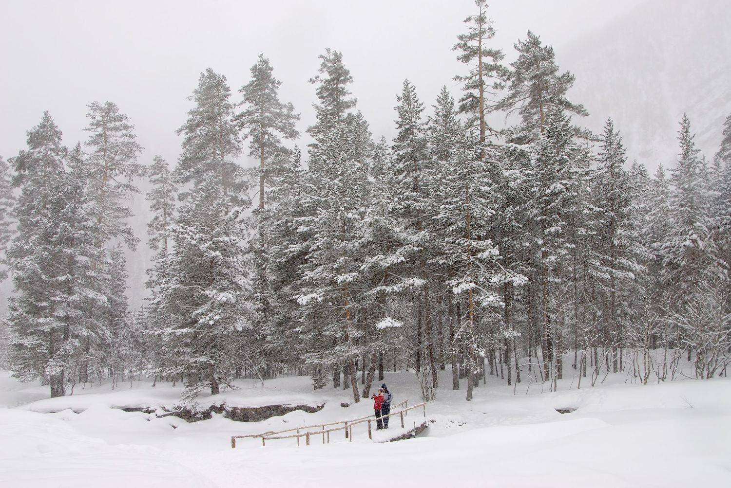, Борис Леваков