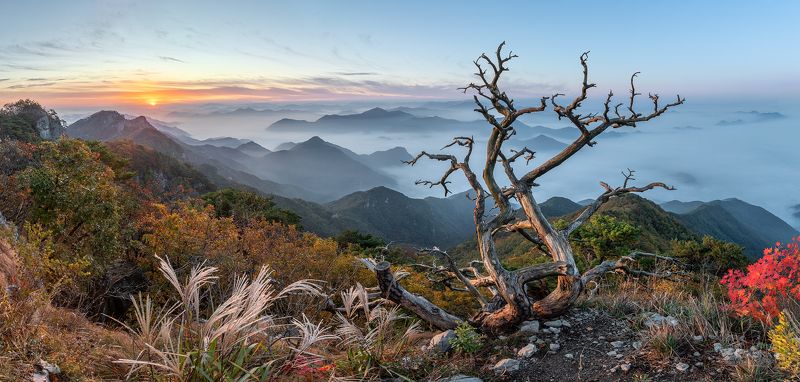 Antler фото превью