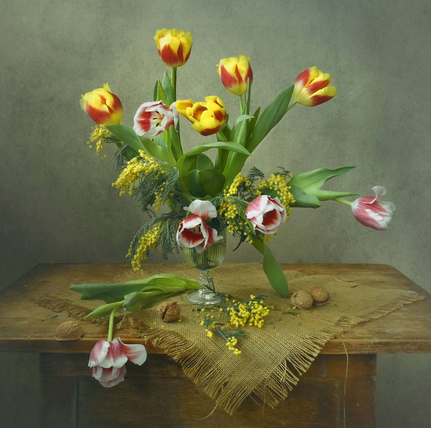 , Ирина Шипунова