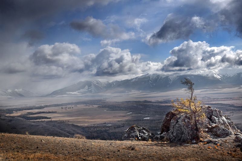 Алтай фото превью