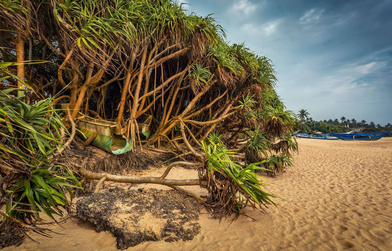 , Безмолитвенный Александр