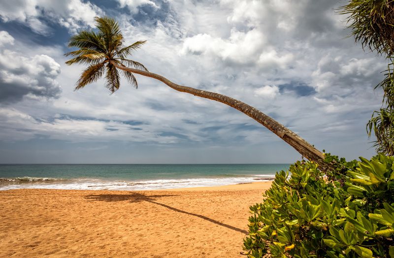 к океану фото превью