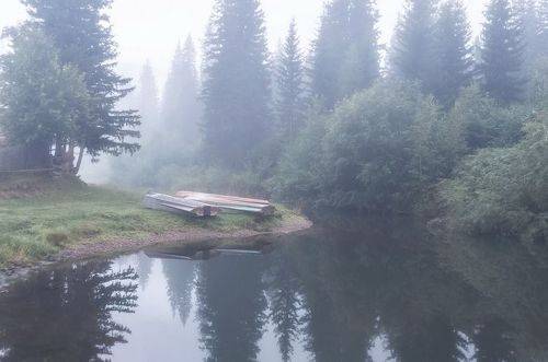 Утро с туманом