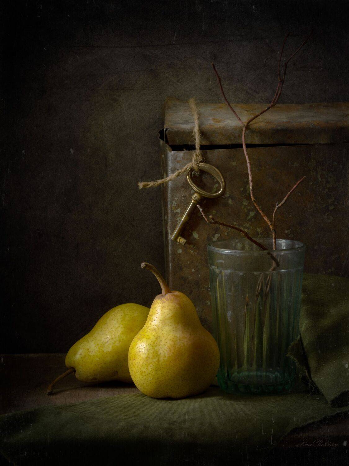 , Чернин Дмитрий