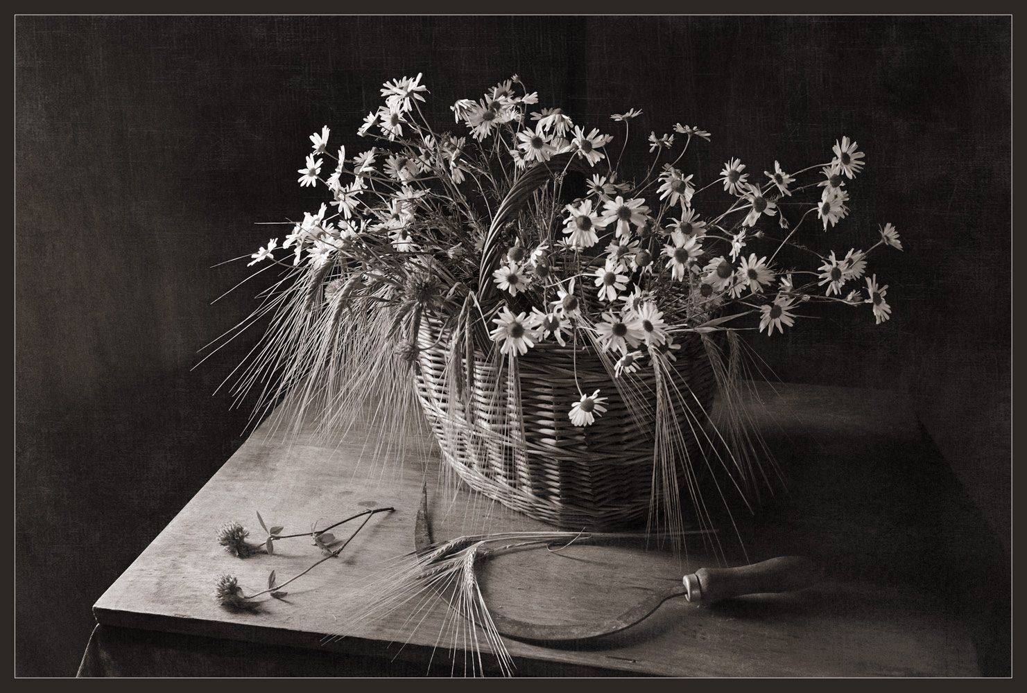 , Анатолий Гулин