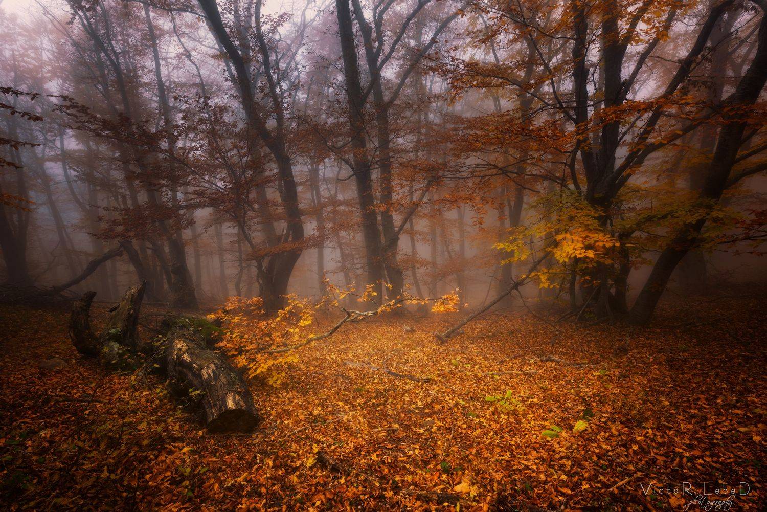 , Виктор Лебедь