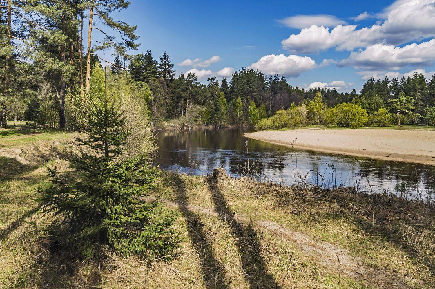 весна., Шитов Александр