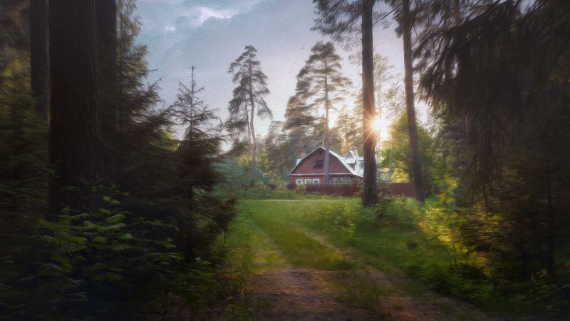 лес, деревья, пейзаж, домик, forest, woodland, trees, landscape, house Домик с окнами в лес фото превью