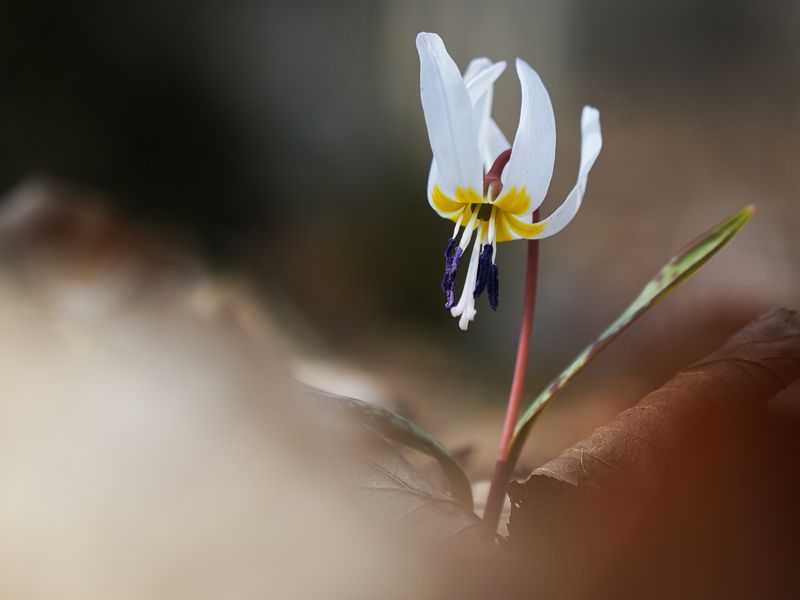 2023 фото превью
