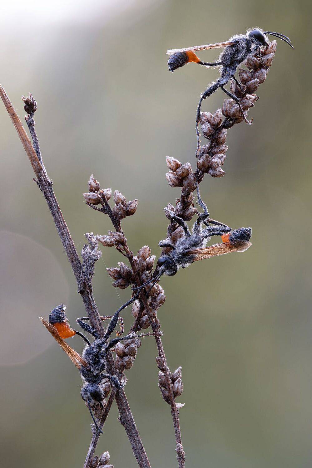 , Кузнецов Дмитрий