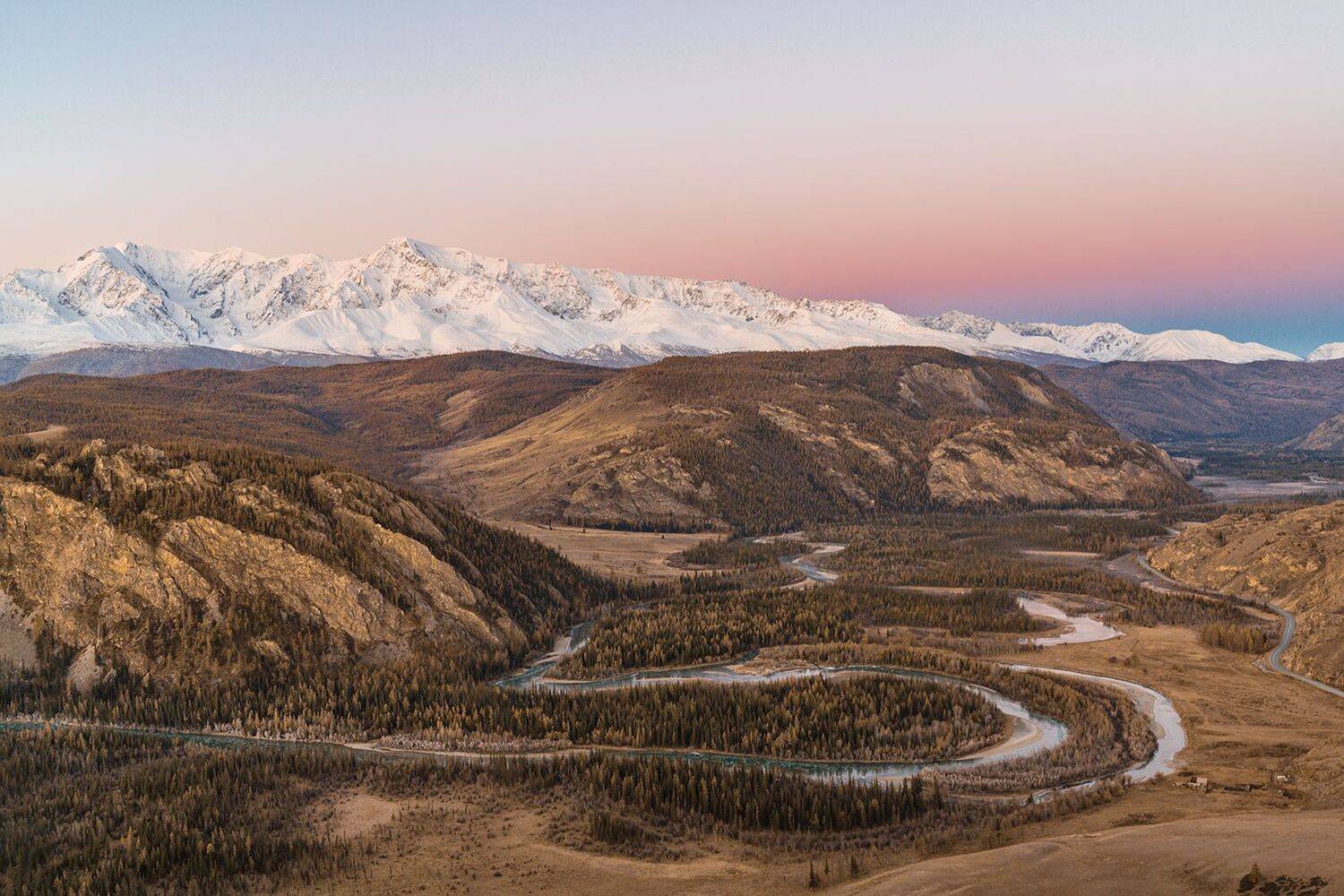 , Лариса Николаевна Дука