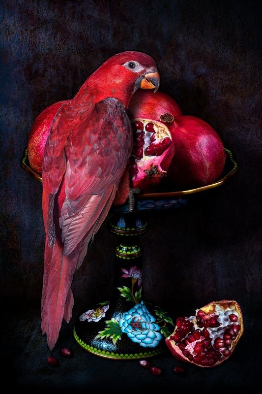 Лори Кардинал на гранатах фото превью