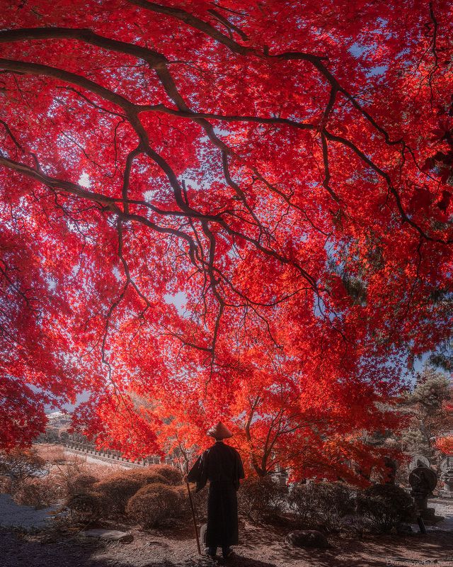 In Japan