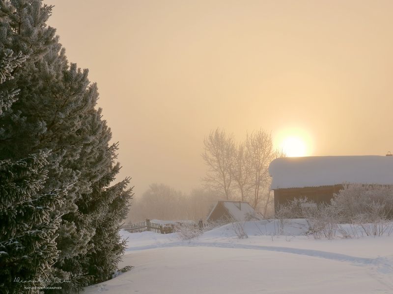 Зимний туман фото превью