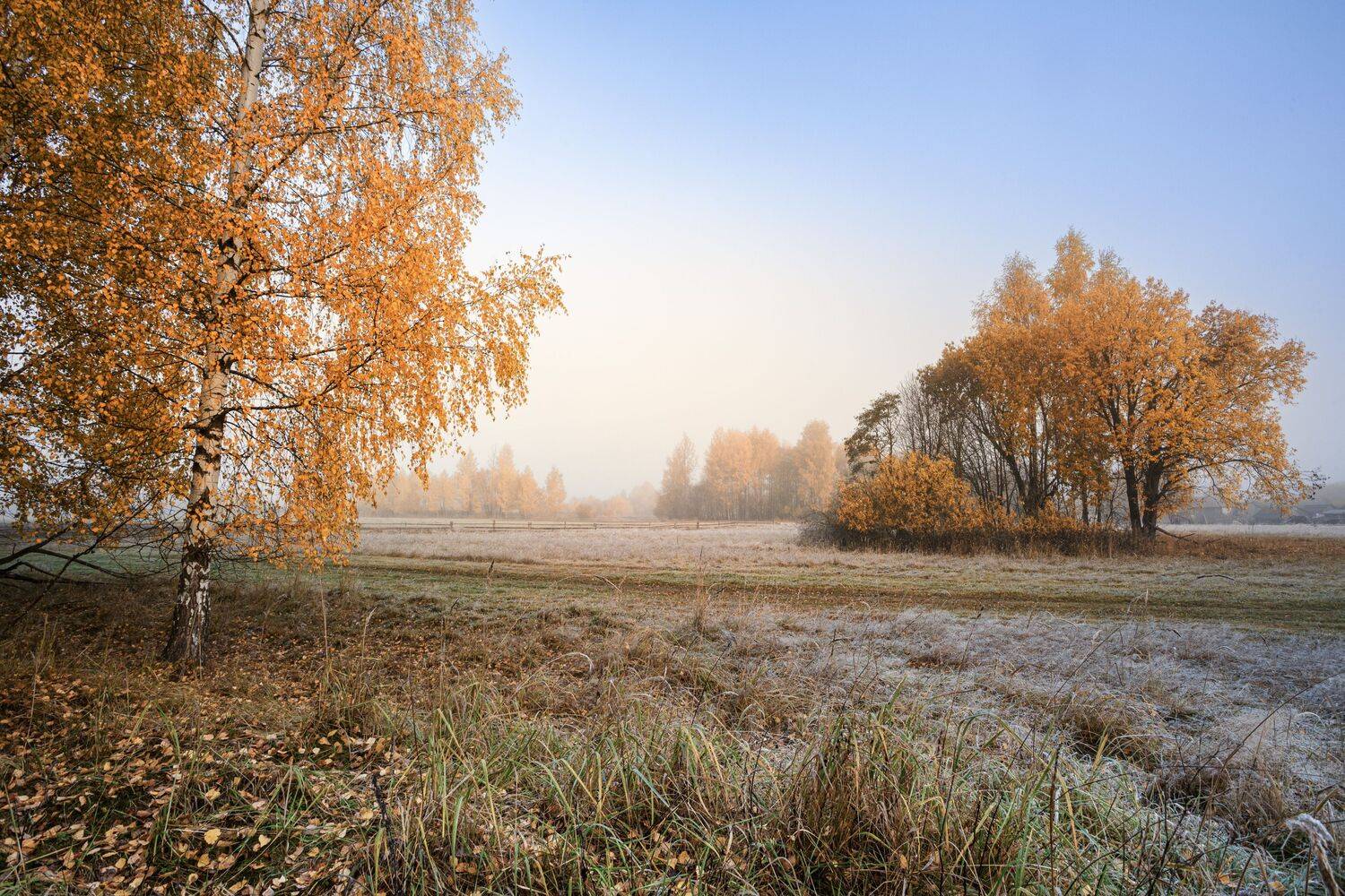, Зеленько Дмитрий