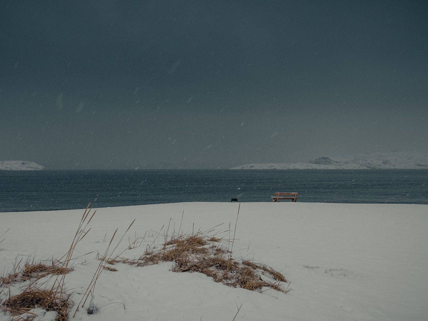 , Виктор Гагарин