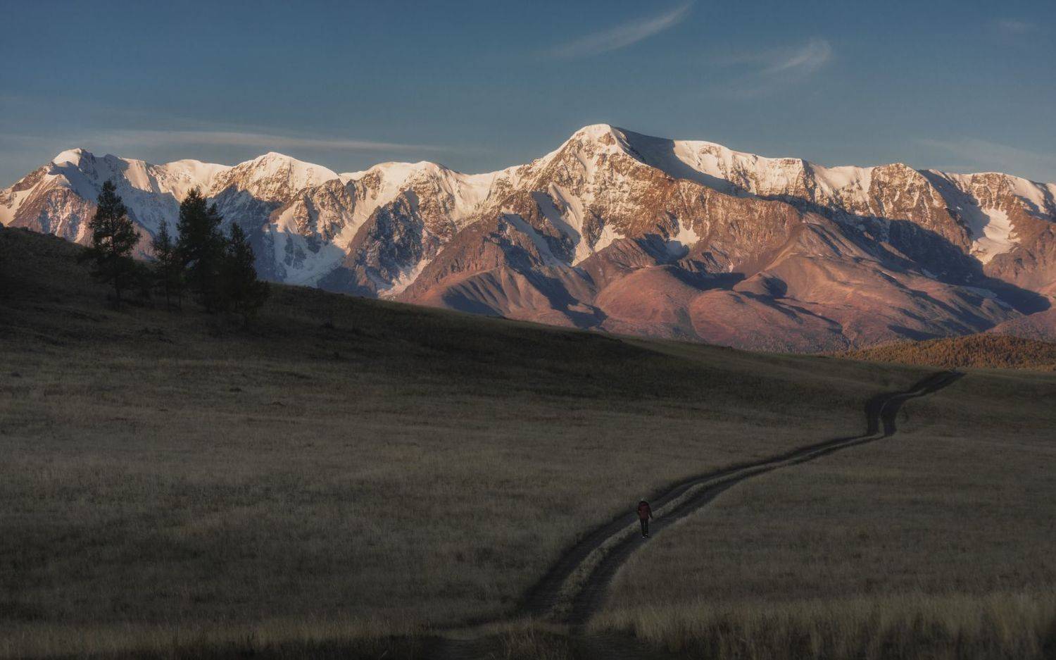 , Олег Дунаев