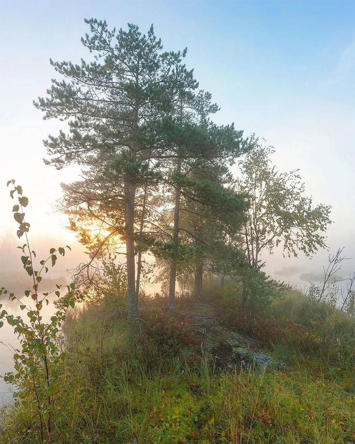 , Петр Косых