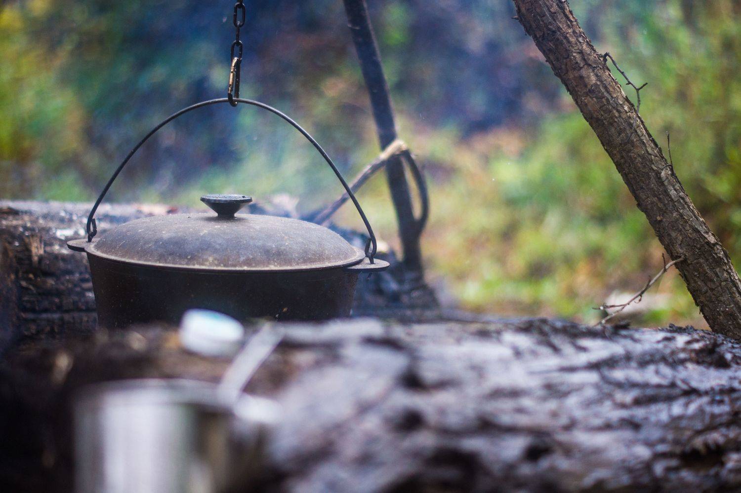 nature, forest, rain, camping, Kotelnikova Anna